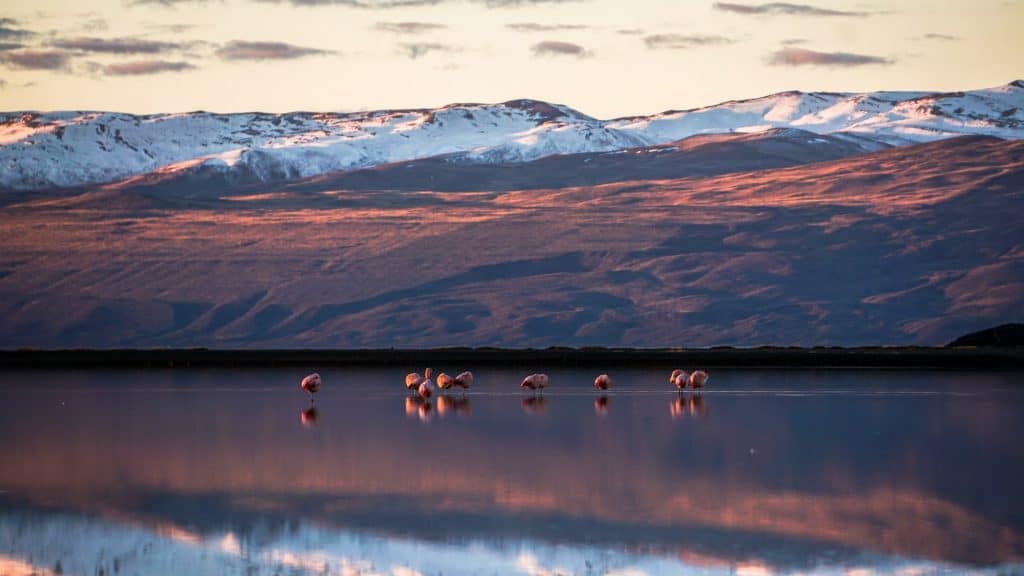 lago argentino el calafate Qué excursiones se pueden hacer en el Calafate en el 2021